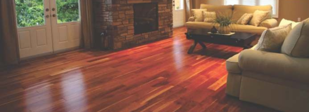 gold plus 1024x373 gold plus 1024x373